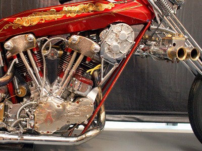 Knucklehead